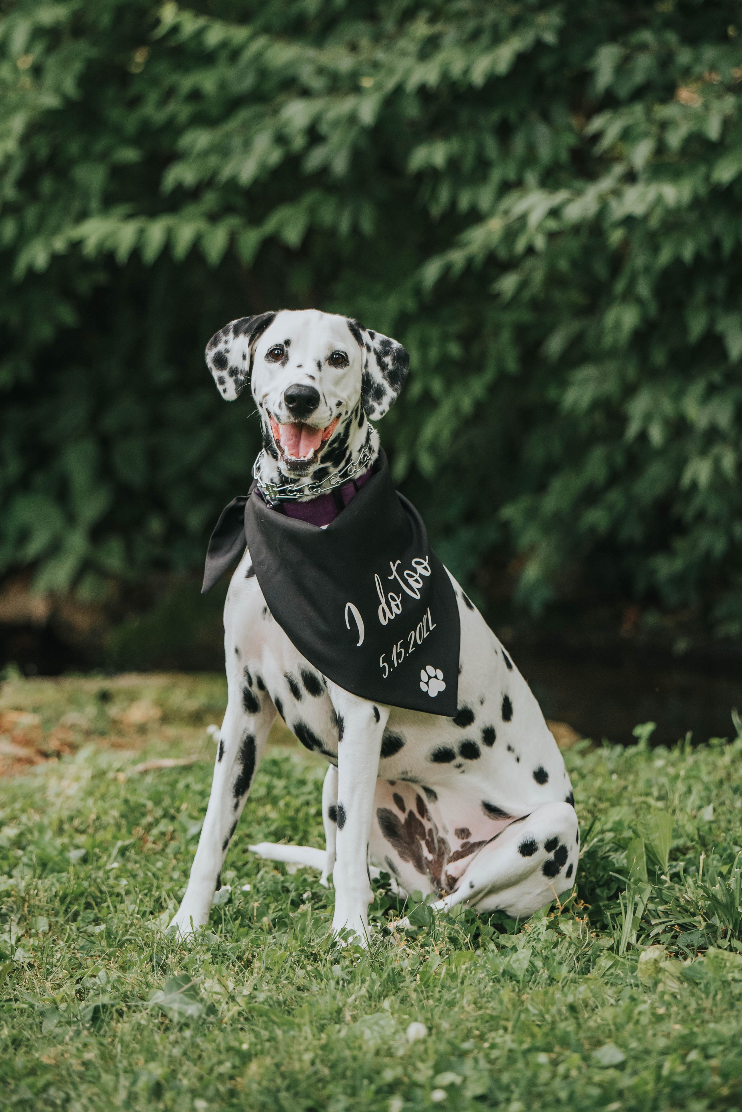 Spring Haven Mansion wedding